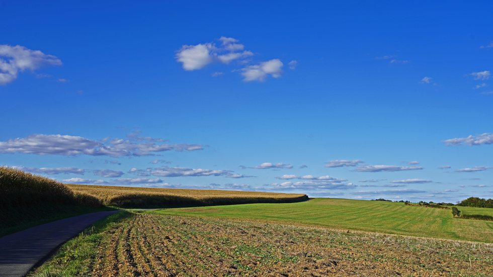 Vaux-lès-Rubigny