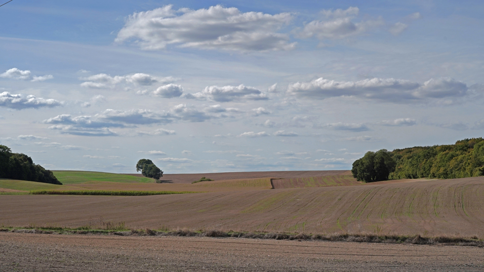 Pargny-lès-Bois