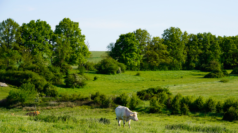 Blanchefosse et Bay