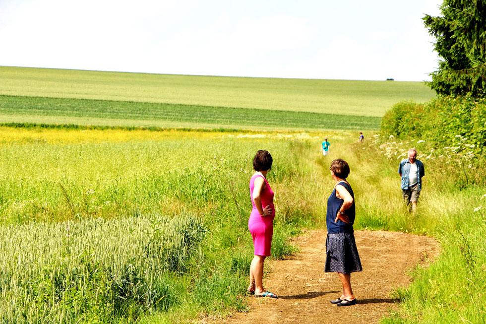 Any-Martin-Rieux wandeling Arbre du Chauffour