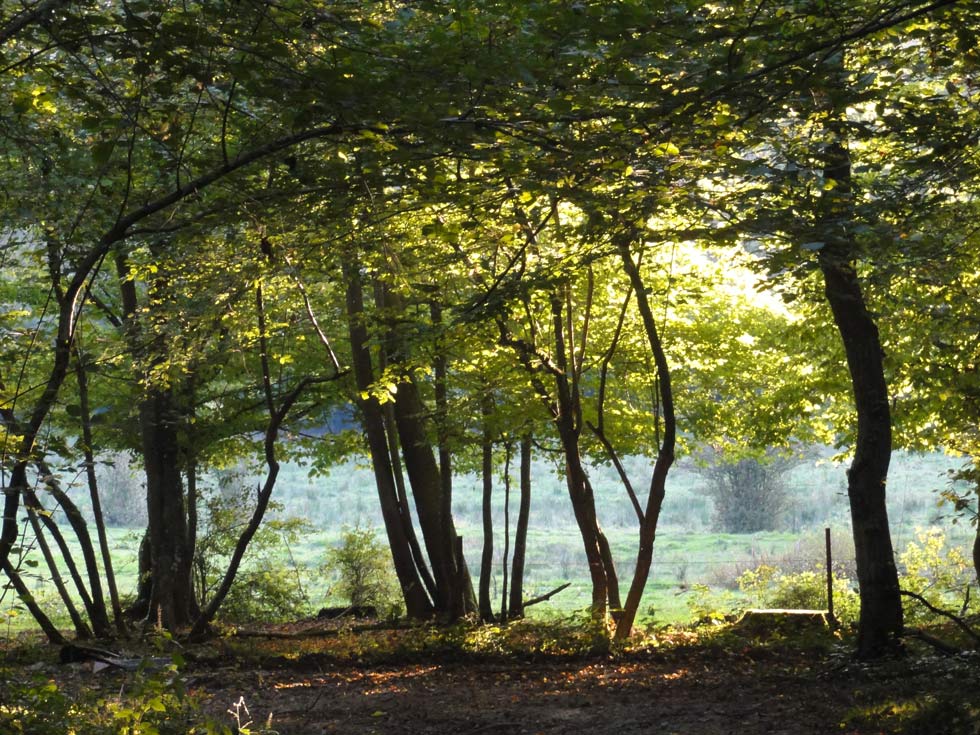 Any-Martin-Rieux - wandeling naar Fligny